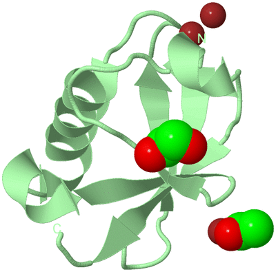 Image Biological Unit 2