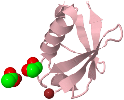 Image Biological Unit 3