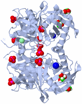 Image Biological Unit 1