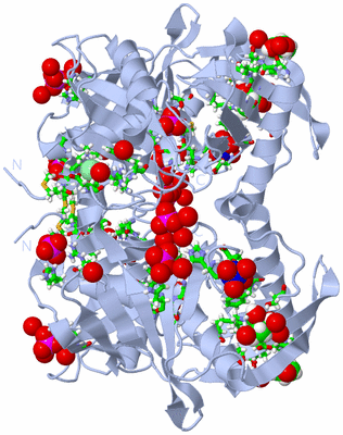 Image Biol. Unit 1 - sites