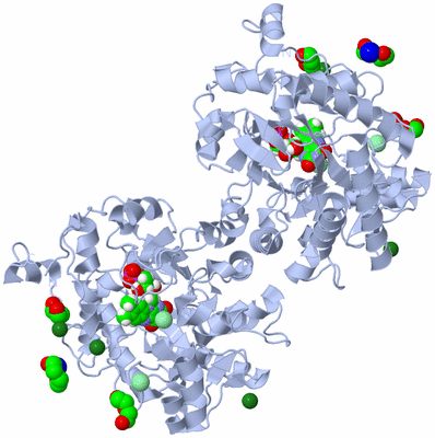 Image Biological Unit 1