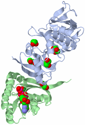 Image Biological Unit 1