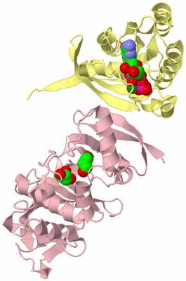 Image Biological Unit 2