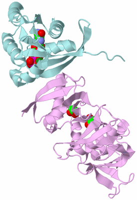 Image Biological Unit 3