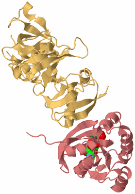 Image Biological Unit 4