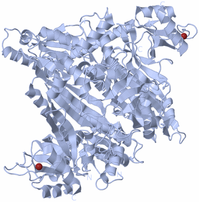 Image Biological Unit 1