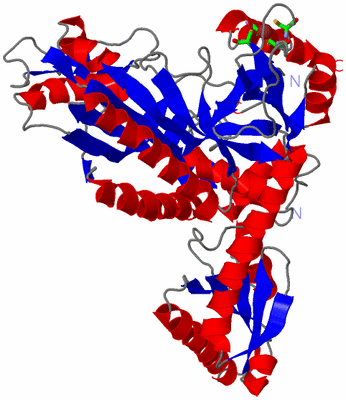 Image Asym. Unit - sites