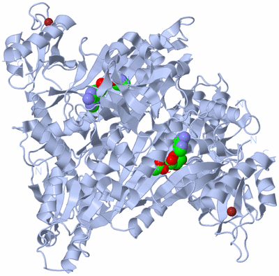 Image Biological Unit 1