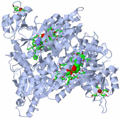 Image Biol. Unit 1 - sites