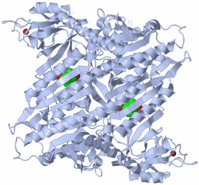 Image Biological Unit 1