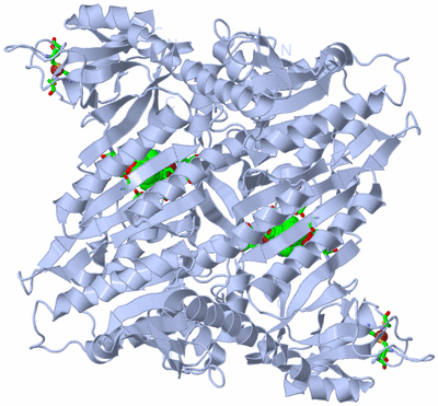 Image Biol. Unit 1 - sites