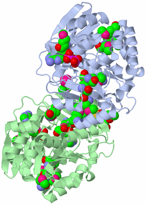 Image Asym./Biol. Unit