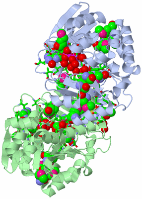 Image Asym./Biol. Unit - sites