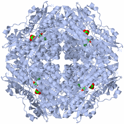 Image Biological Unit 1