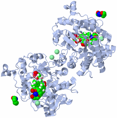 Image Biological Unit 1