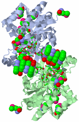 Image Asym./Biol. Unit - sites