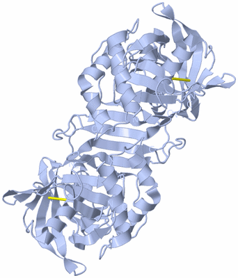 Image Biological Unit 1