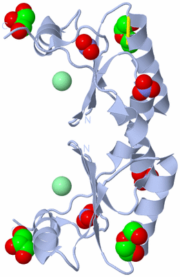 Image Biological Unit 1