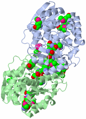 Image Asym./Biol. Unit