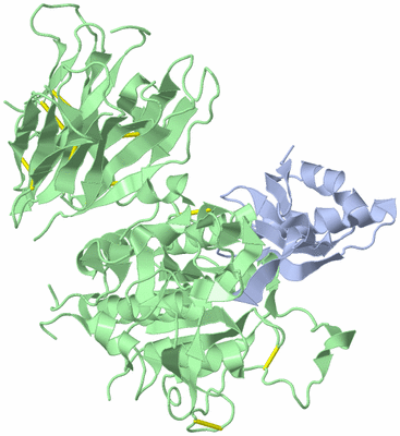 Image Biological Unit 1