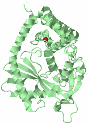 Image Biological Unit 3