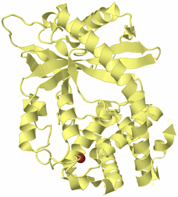 Image Biological Unit 4