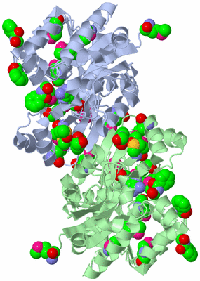 Image Asym./Biol. Unit