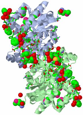 Image Asym./Biol. Unit - sites