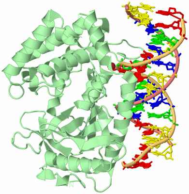 Image Biological Unit 2