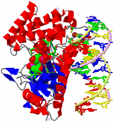 Image Asym./Biol. Unit - sites