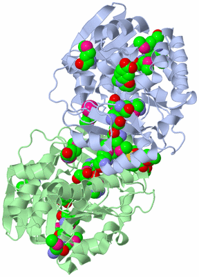 Image Asym./Biol. Unit