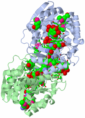 Image Asym./Biol. Unit - sites