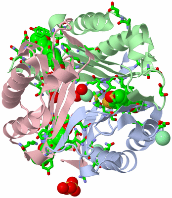 Image Asym./Biol. Unit - sites