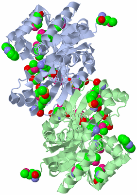 Image Asym./Biol. Unit