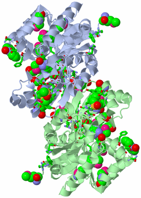 Image Asym./Biol. Unit - sites