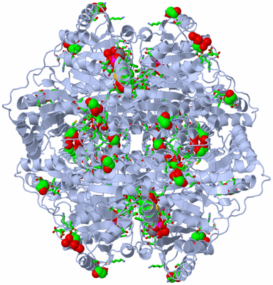 Image Biol. Unit 1 - sites