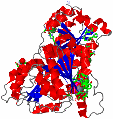 Image Asym. Unit - sites