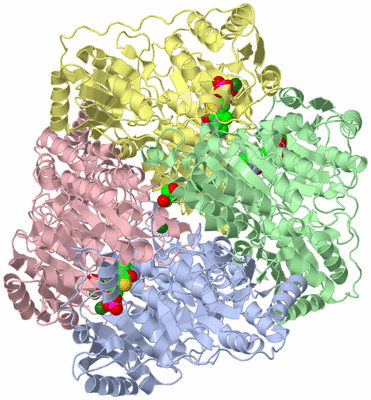 Image Asym./Biol. Unit