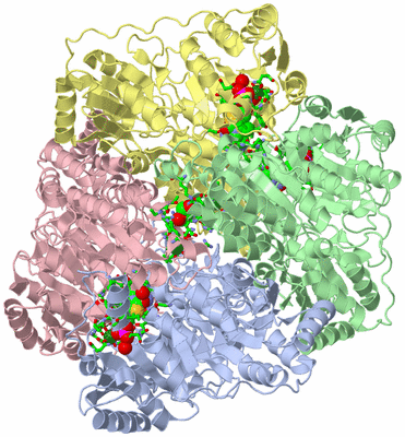 Image Asym./Biol. Unit - sites