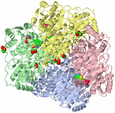 Image Asym./Biol. Unit