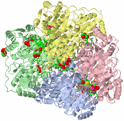 Image Asym./Biol. Unit - sites