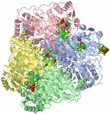 Image Asym./Biol. Unit - sites