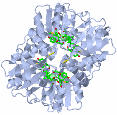 Image Biol. Unit 1 - sites