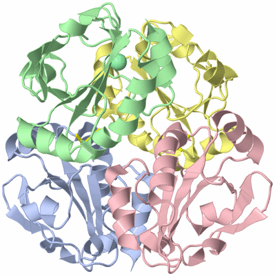 Image Asym./Biol. Unit