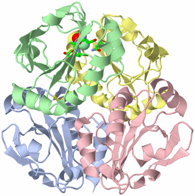 Image Asym./Biol. Unit - sites