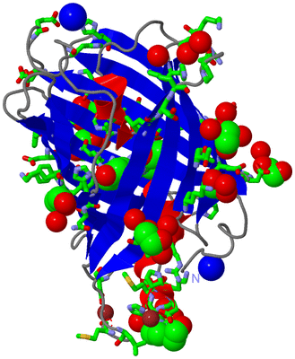 Image Asym./Biol. Unit - sites