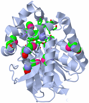 Image Biol. Unit 1 - sites