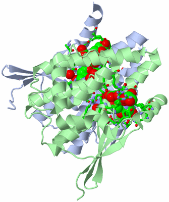 Image Asym./Biol. Unit - sites