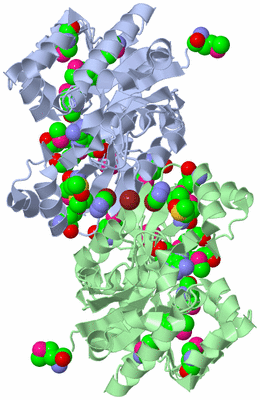 Image Asym./Biol. Unit