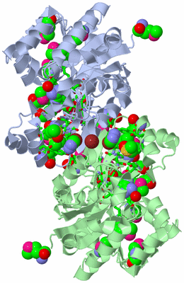 Image Asym./Biol. Unit - sites